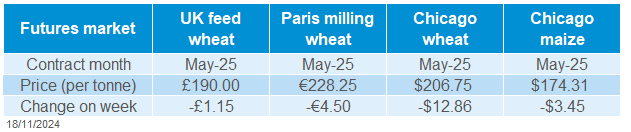 Global grains 18 11 202472.